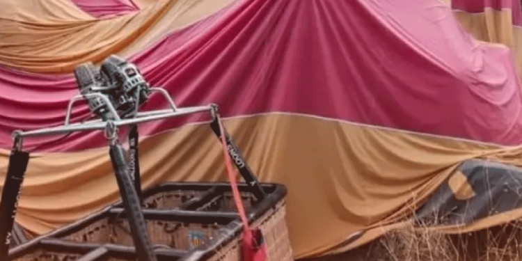 Hulk Hogan, leyenda de la WWE, desea comprar ´Hooters´ para salvar a la franquicia