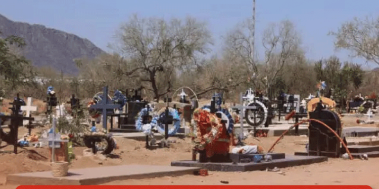 Van más de 5 mil personas registradas en concurso ‘México Canta’