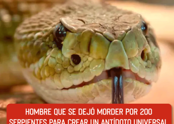 Vaticano apagará la telefonía móvil para aislar el cónclave