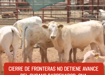 Distritos del Yaqui y Mayo serán apoyados en tecnificación y sequía