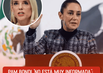 Estas son las severas acusaciones de maltrato animal de AimeP3