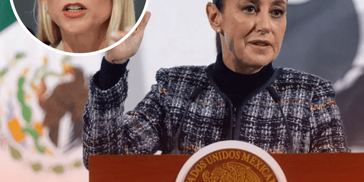 Estas son las severas acusaciones de maltrato animal de AimeP3