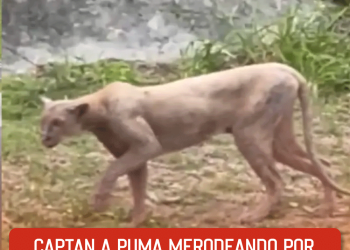 Celebran el cumpleaños de la presidenta Claudia Sheinbaum