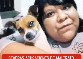 Estas son las severas acusaciones de maltrato animal de AimeP3