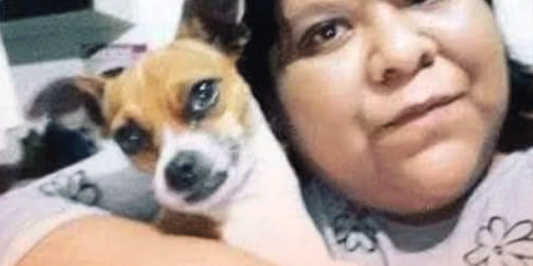 Estas son las severas acusaciones de maltrato animal de AimeP3