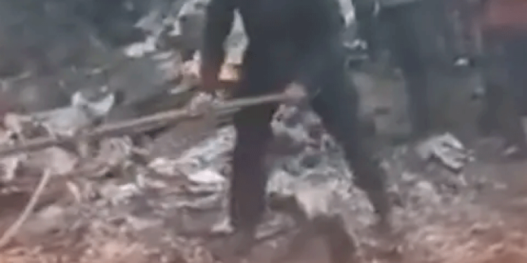 Cae estructura en evento masivo a un lado del escenario y en zona VIP