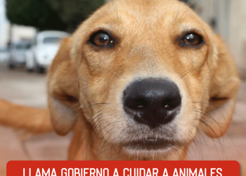 Scarlett Johansson pidió ser borrada de Thunderbolts: esta es la razón detrás de su decisión