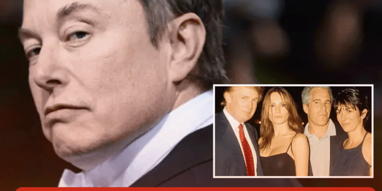 Guns N’ Roses en México: Fecha, preventa de boletos y todo lo que debes saber de su regreso al país