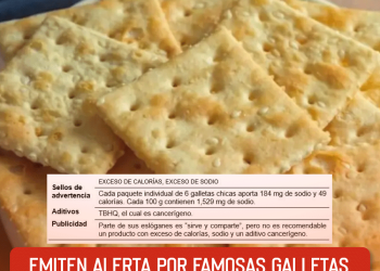 Laura Flores rompe el silencio y habla sobre relación con Lalo Salazar