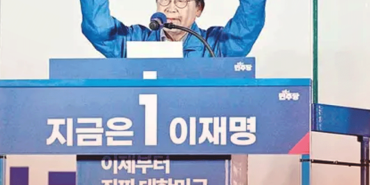 Hallan restos de nave de SpaceX en Tamaulipas; presentarán denuncia