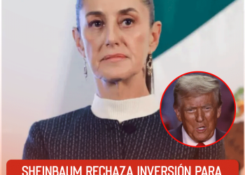 más de 45 perros fueron envenenados en San Luis Potosí y se investiga el caso