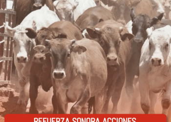 Disculpas y pagar 97 mil pesos, con ello Lady Racista evitó la cárcel