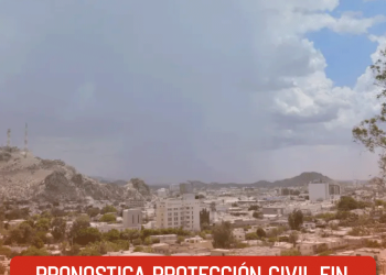 Sheinbaum condena comentarios misóginos de Salinas Pliego y defiende a periodistas agredidas