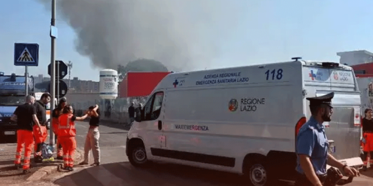 más de 45 perros fueron envenenados en San Luis Potosí y se investiga el caso