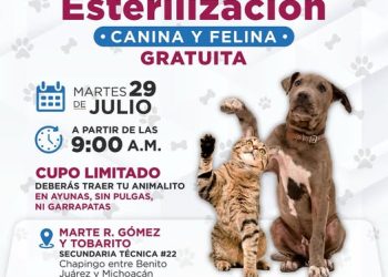 Brigadas de Esterilización en Marte R. Gómez y Tobarito