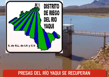 Presas del Río Yaqui se recuperan ligeramente tras esporádicas lluvias de agosto