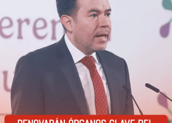 Renovarán órganos clave del Sistema Nacional de Búsqueda