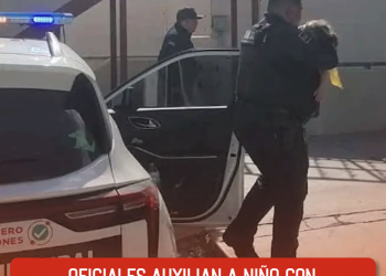 Renovarán órganos clave del Sistema Nacional de Búsqueda