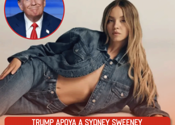 Renovarán órganos clave del Sistema Nacional de Búsqueda