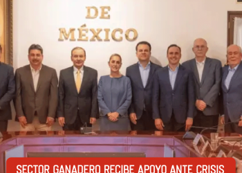 Lanza Seguridad Pública campaña “No te alucines”