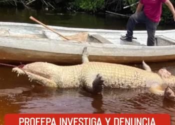 Natanael Cano enfrenta llamado de boicot tras golpear a DJ