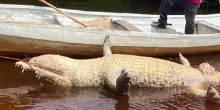 Natanael Cano enfrenta llamado de boicot tras golpear a DJ