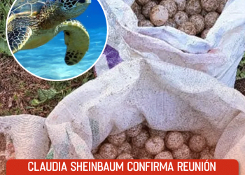 Empresas farmacéuticas invertirán 12 mil mdp en México