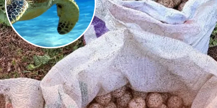 Empresas farmacéuticas invertirán 12 mil mdp en México