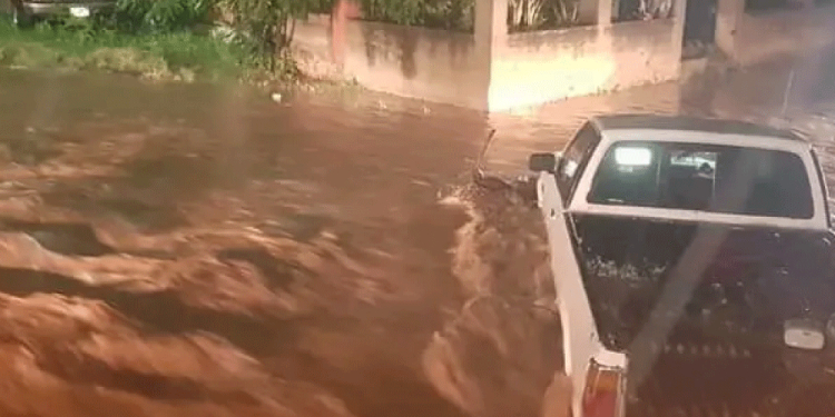 Integrante de Los Tigres del Norte sufre caída en pleno concierto