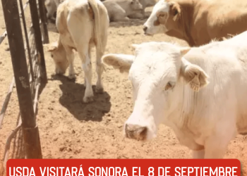 Ninel Conde confirma que pidió su salida de La Casa de los Famosos México