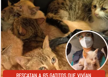 Embajador de EU comparte foto de la entrega de Chávez Jr. a México