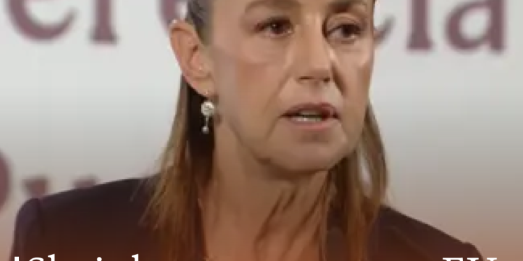 Quieren preservar 64 maíces nativos; Sheinbaum lanza estrategia