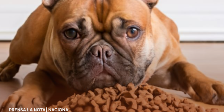 Citi rechaza oferta de Grupo México para adquirir Banamex