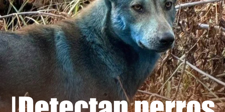 Trump ordena pruebas nucleares inmediatas en EE.UU. ante ensayos de otras potencias