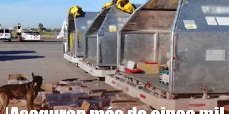 Trump descarta acciones militares contra Venezuela y apuesta por la vía diplomática