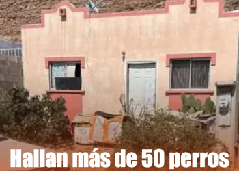 Emite Protección Civil alerta por “Priscilla”