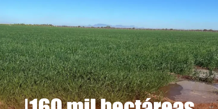 Atenderán en EU a víctimas de Waldo´s