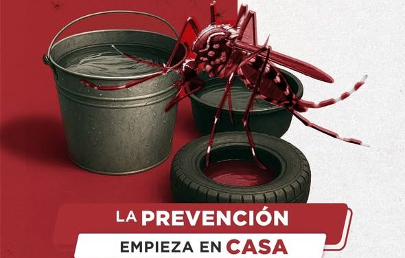 Prevenir el Dengue es Tarea de Todos