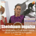 Sheinbaum impulsa reforma nacional para unificar leyes contra abuso y acoso hacia mujeres