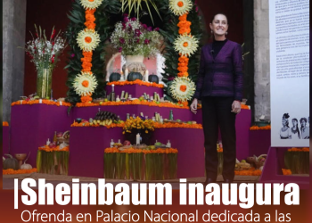 Tufesa modernizará unidades y reducirá velocidad máxima tras volcamiento