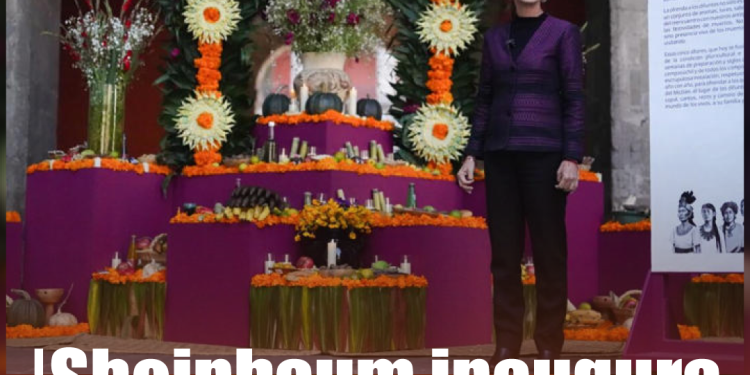 Tufesa modernizará unidades y reducirá velocidad máxima tras volcamiento