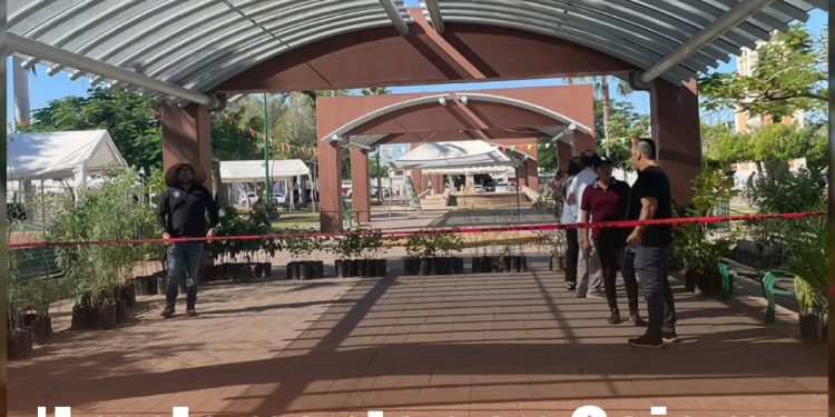 Telefónica se retira de México: ¿qué pasará con los clientes de Movistar?