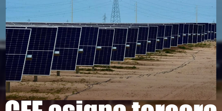 Bad Bunny termina gira en la Ciudad de México con ocho conciertos completamente agotados