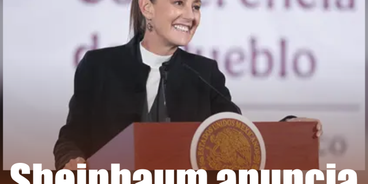 Subió a un poste de luz al huir de la policía, termina electrocutado