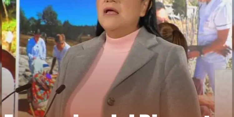 El joven narrador de 15 años que conquistó redes al relatar la final de la Libertadores desde un cerro en Lima