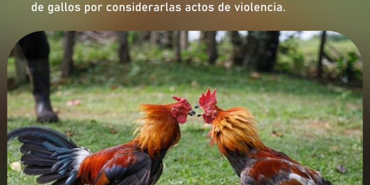 JUAN GABRIEL VIVE EN SU MÚSICA El cantautor será homenajeado con una edición especial de Los Dúo en el aniversario de su natalicio. SECCIÓN: ESPECTÁCULOS