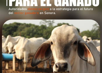 El expresidente canceló una segunda ola de ataques tras la liberación de presos y un acuerdo petrolero. SECCIÓN: INTERNACIONAL