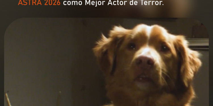 DURAZO INAUGURA REHABILITACIÓN El gobernador Alfonso Durazo entregó la rehabilitación de la Unidad Deportiva Ley 57. SECCIÓN: ESTATAL