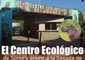 EE.UU. se deslinda del “Cártel de los Soles” y se debilita una de las principales acusaciones contra Nicolás