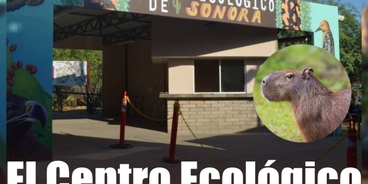 EE.UU. se deslinda del “Cártel de los Soles” y se debilita una de las principales acusaciones contra Nicolás